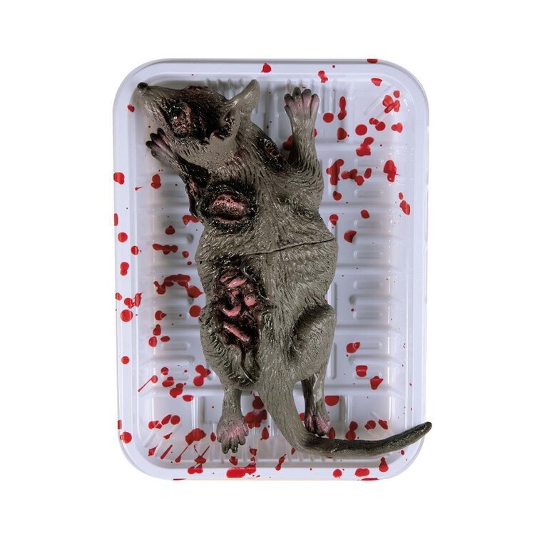 Product Image for Rotte på brett Halloweendekorasjon