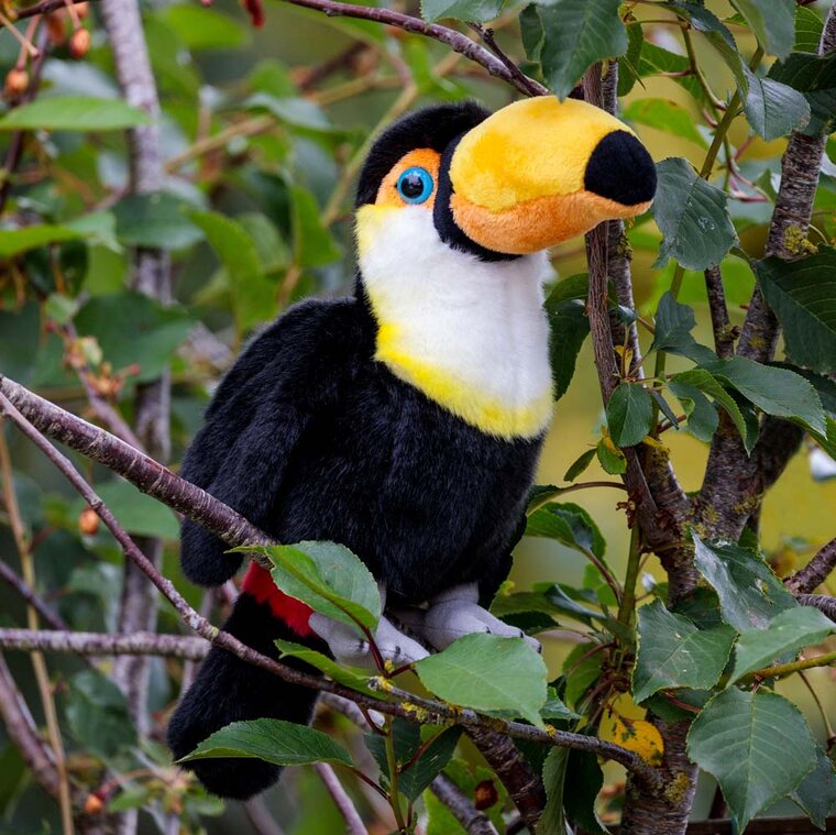 Product Image for Animigos World of Nature - Tukan 24 cm