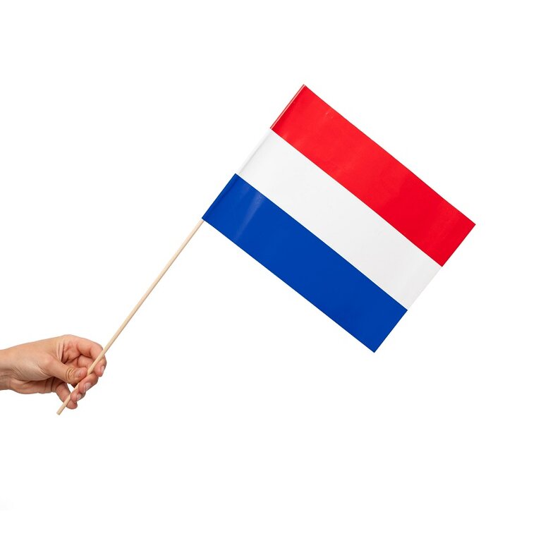 Product Image for Håndflagg Nederland 10 stk.