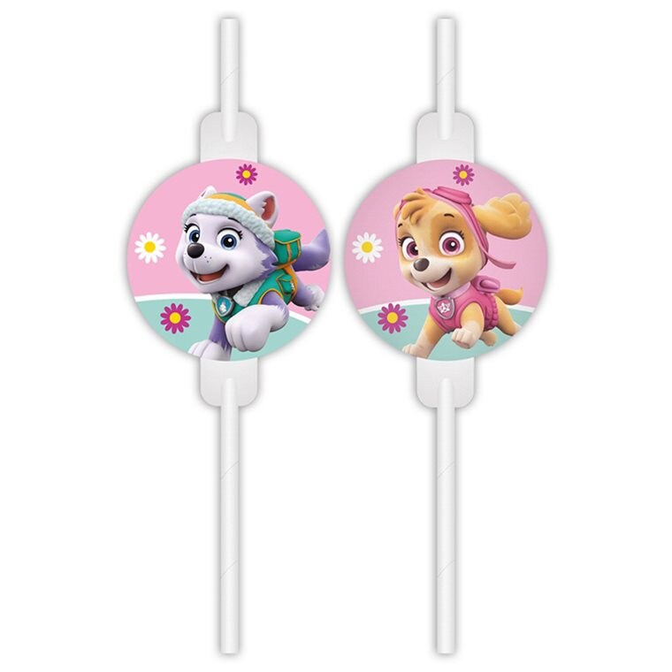 Product Image for Paw PatrolSkye - Pappsugerør 4 stk.