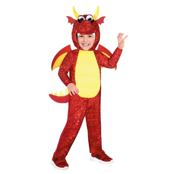 Product Image for Drage Kostyme Barn 4-8 år