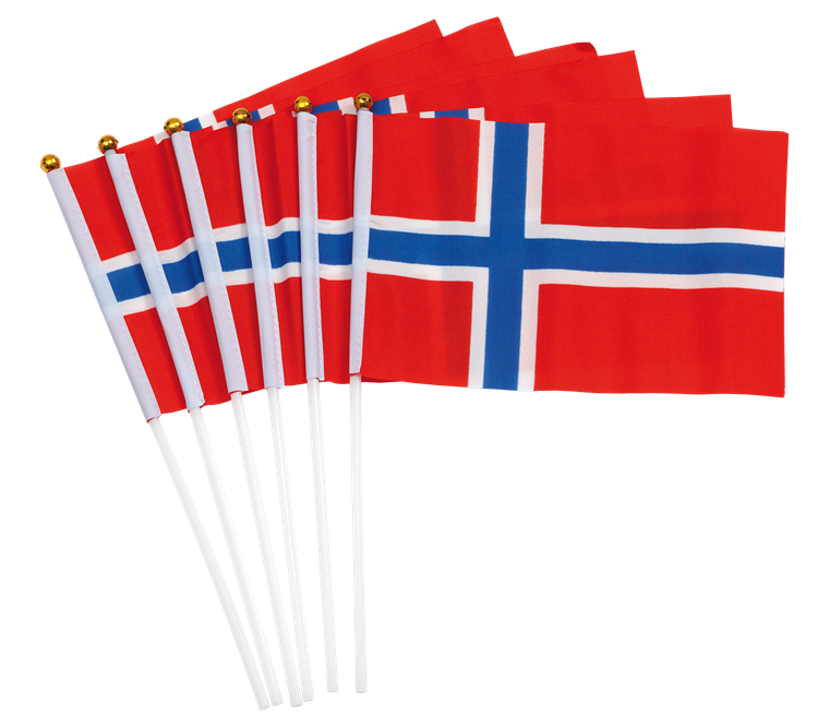 Product Image for Norske Håndflagg 6 stk.