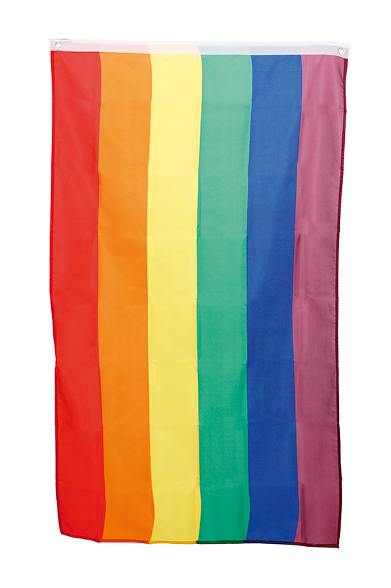 Product Image for Pride Flagg 60 x 90 cm