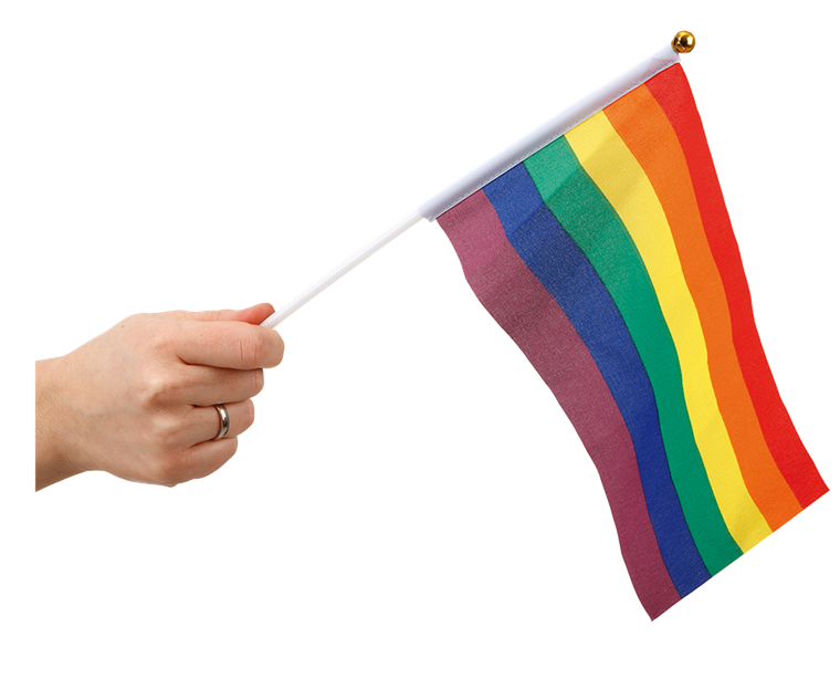 Product Image for Pride Håndflagg 6 stk.