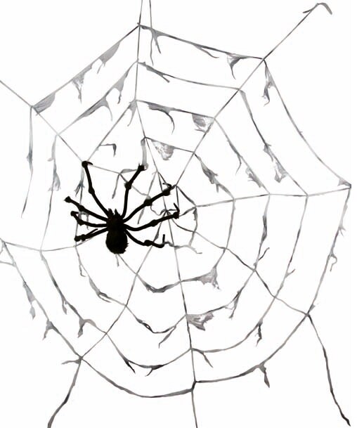 Product Image for Gigantisk spindelvev med edderkopp