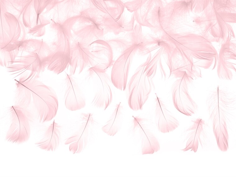 Product Image for Rosa Dekorasjonsfjær 3 gram