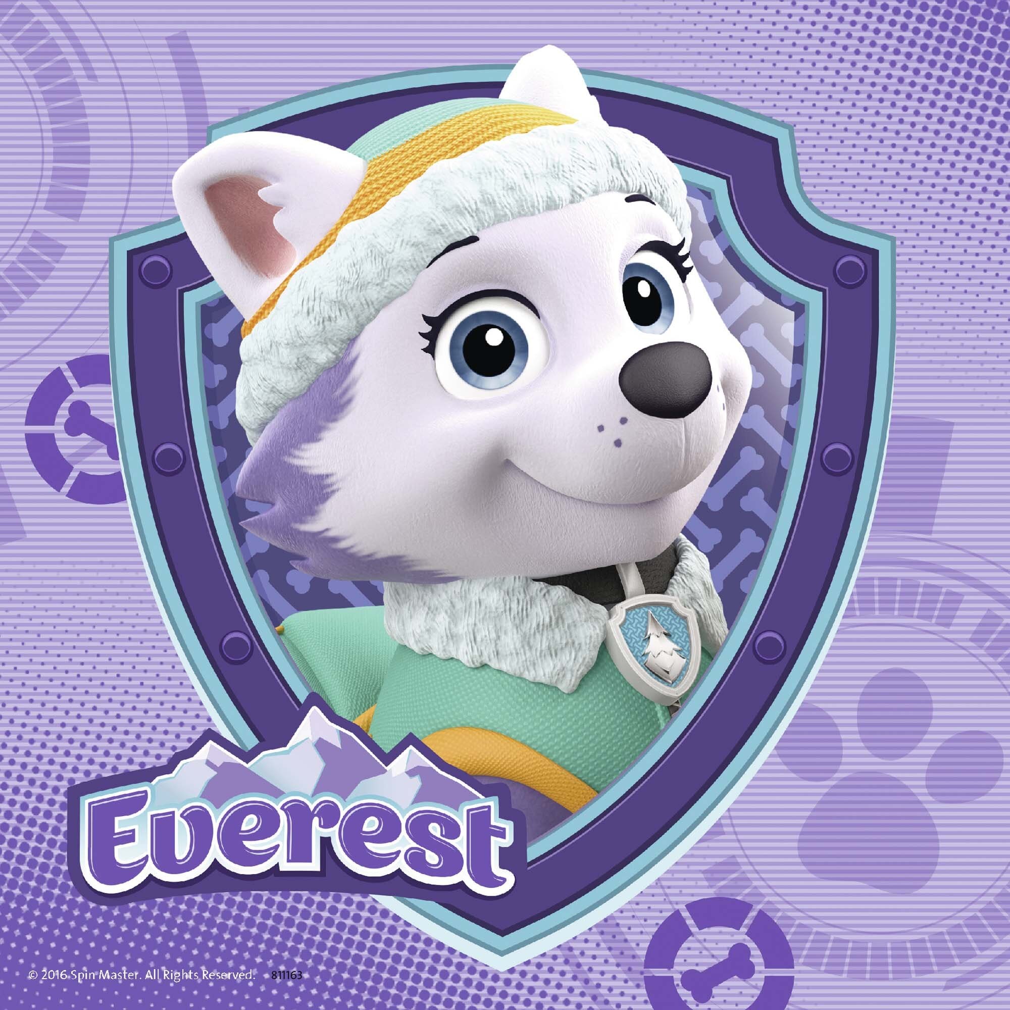 Ravensburger Puslespill, Paw Patrol - Skye & Everest 3x49 brikker