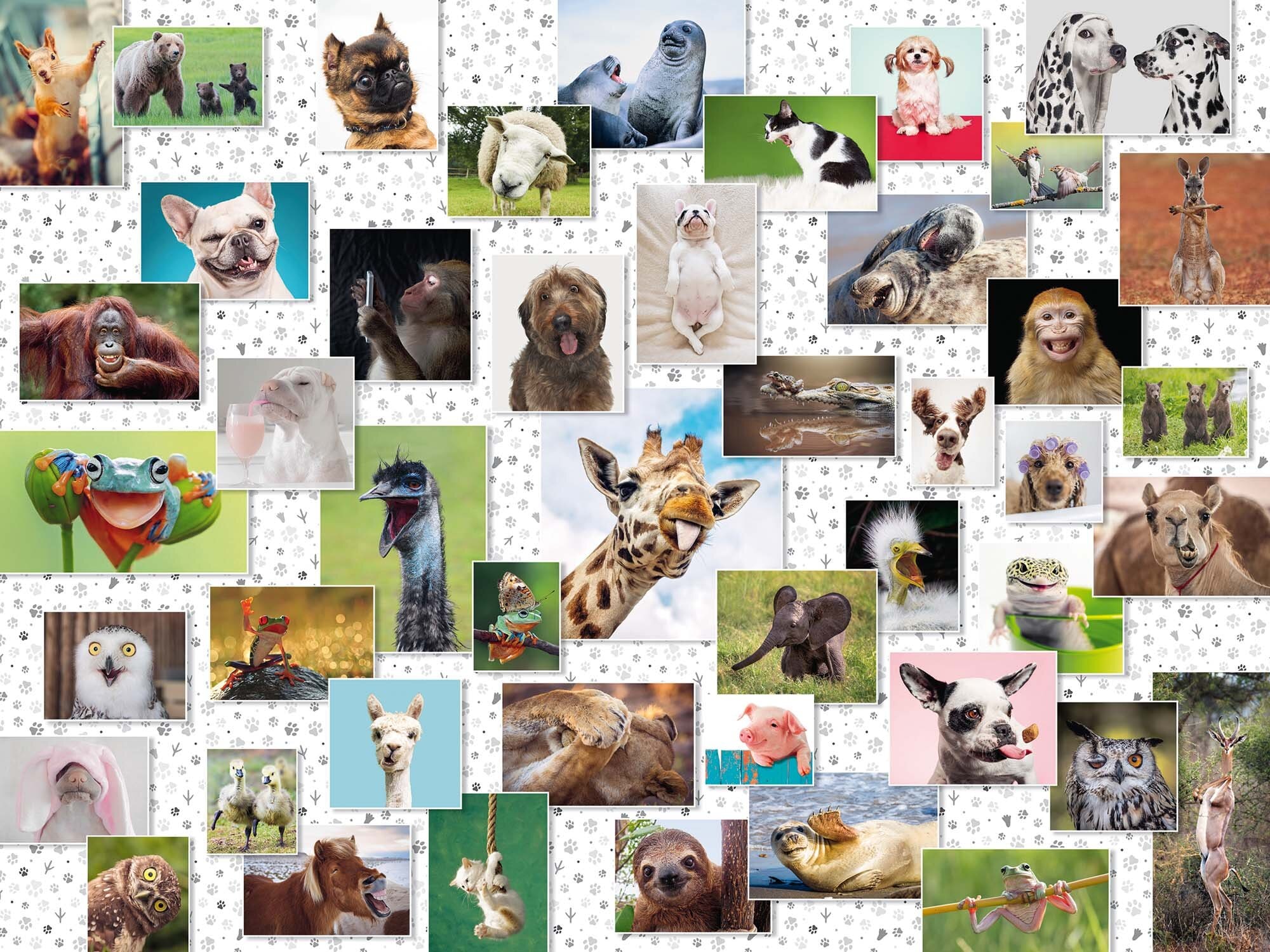 Ravensburger Puslespill, Funny Animals Collage 1500 brikker
