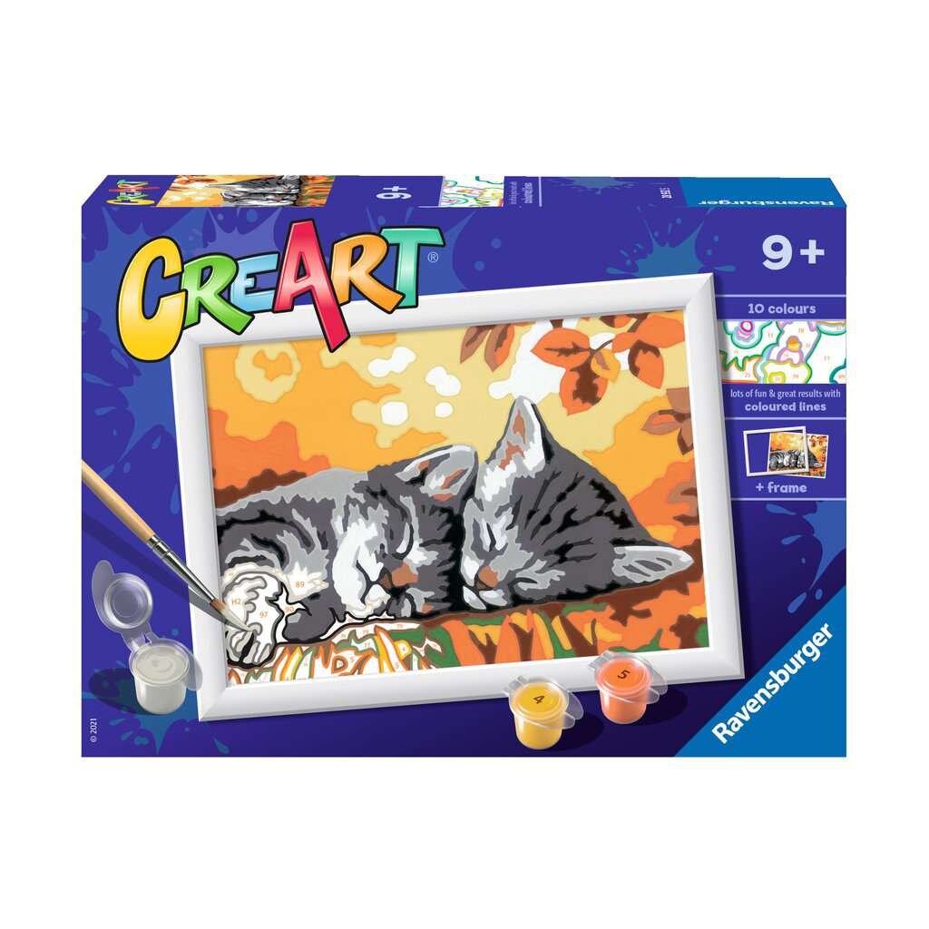 Ravensburger Schilderen Op Nummer Stitch aanbieding bij Kruidvat