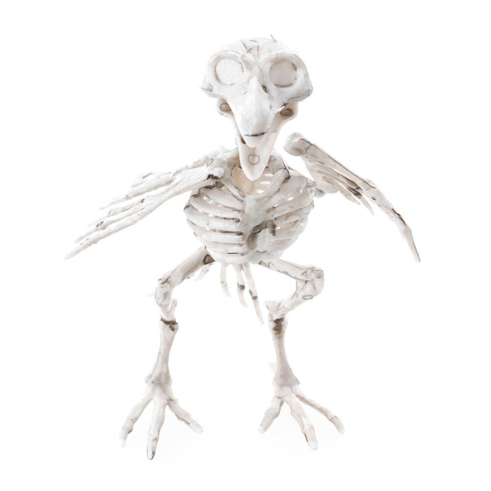 Ravneskjelett 18,5 cm