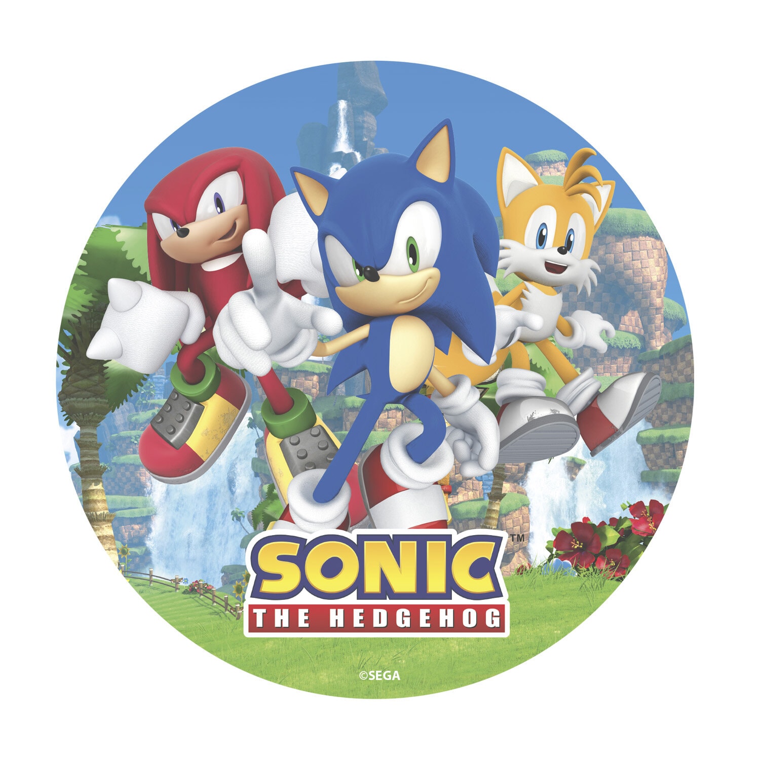Kakebilde Sonic the Hedgehog - Oblat 20 cm