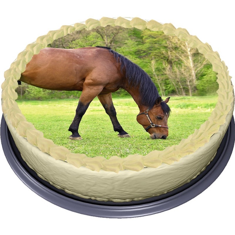 Hest, Kakebilde Sukkerpasta