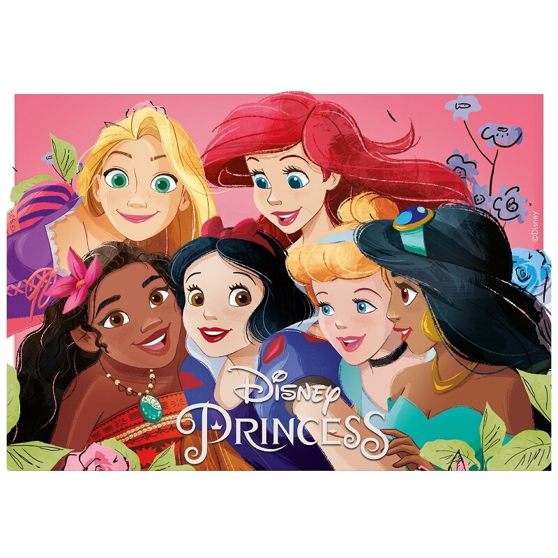 Kakebilde Disney prinsesser - Sukkerpasta 15 x 21 cm