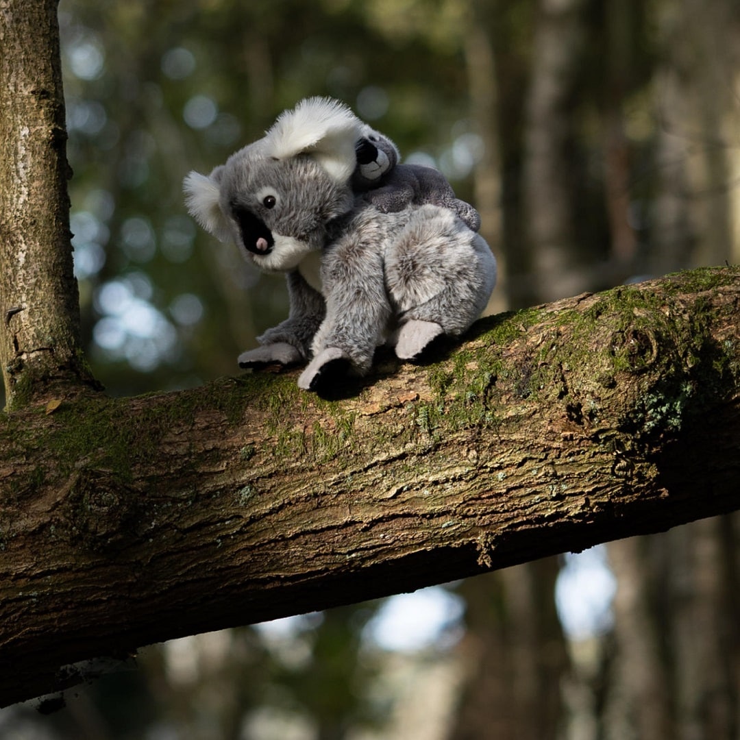 Animigos World of Nature Koala med baby 25 cm