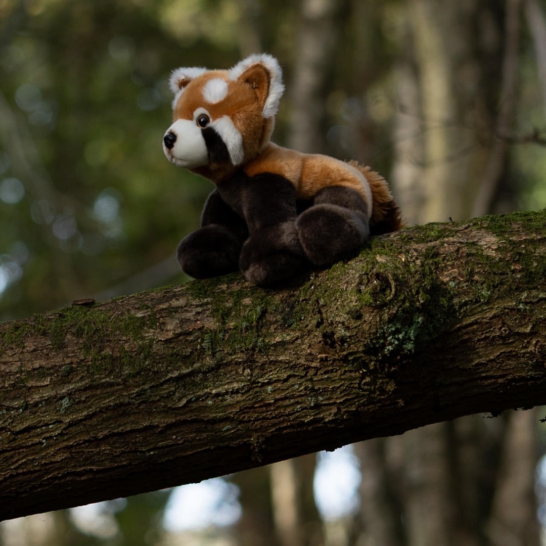 Animigos World of Nature Rød Panda 26 cm