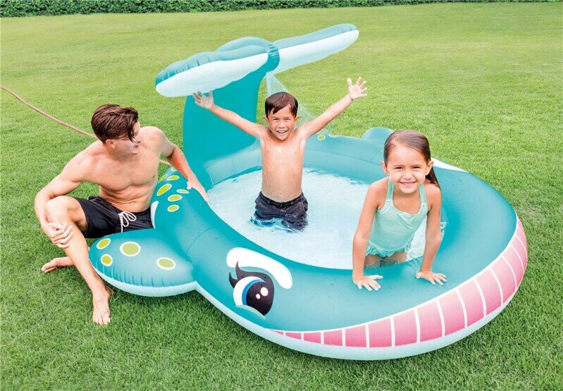 Intex Spraypool Hval 201 cm