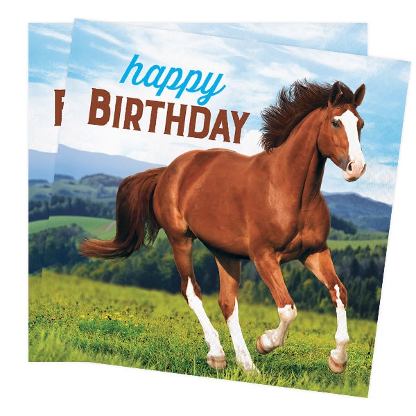Horse and Pony - Servietter Happy Birthday 16 stk.