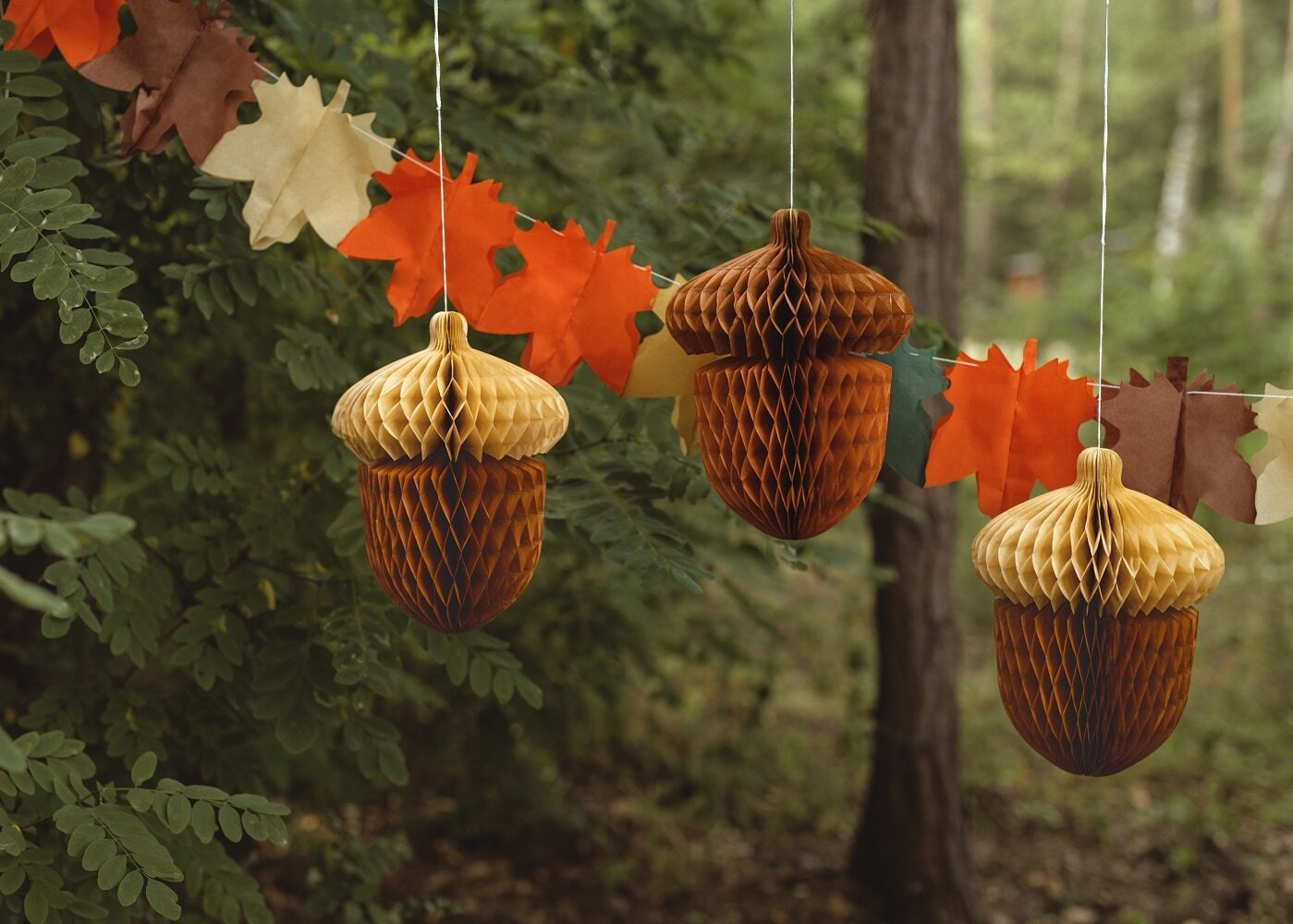 Eikenøtt Honeycombdekorasjoner 2 stk.