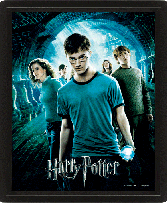 Harry Potter - 3D Canvas-plakat Order of the Phoenix