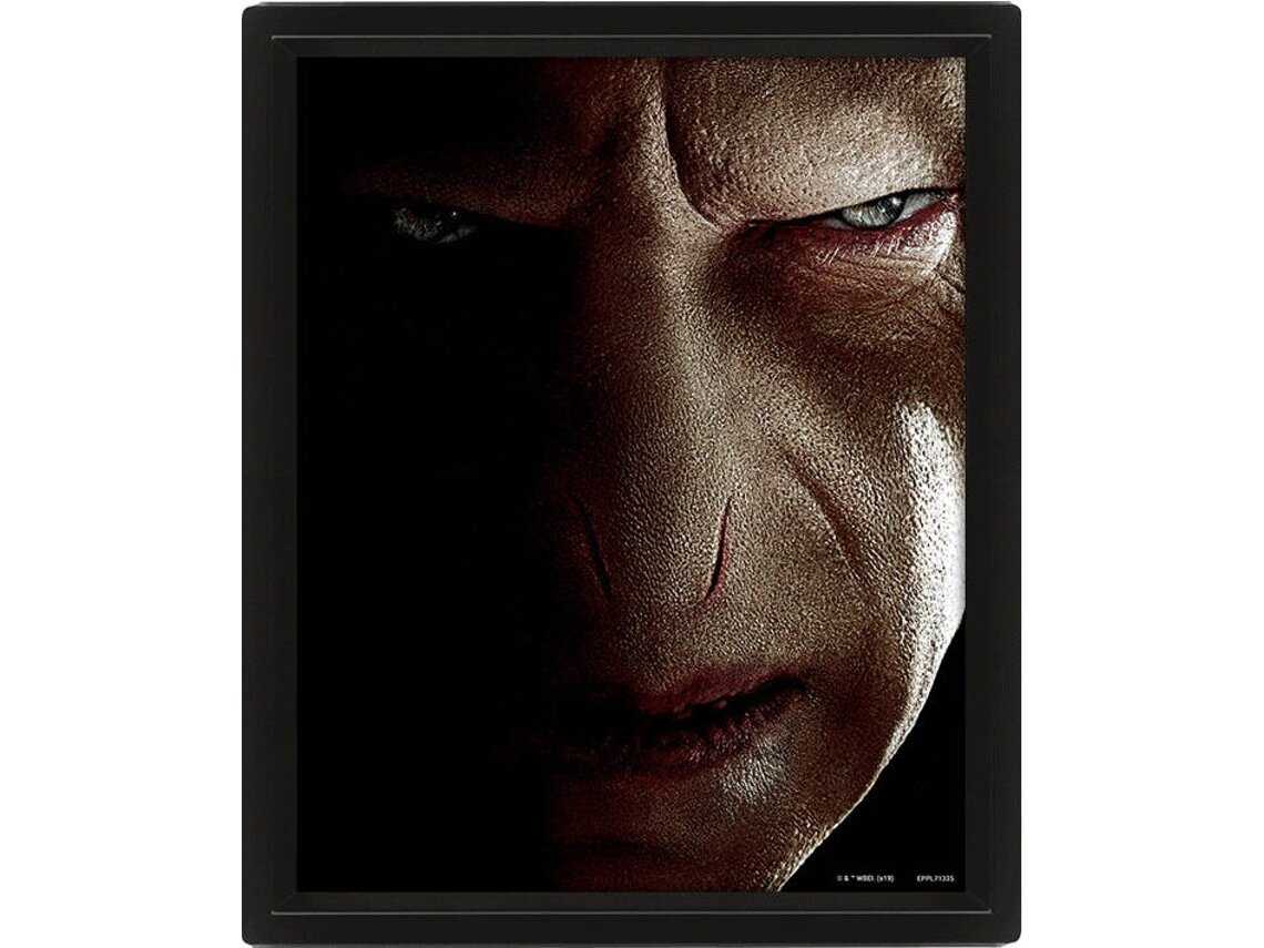 Harry Potter - 3D Canvas-plakat Harry vs Voldemort