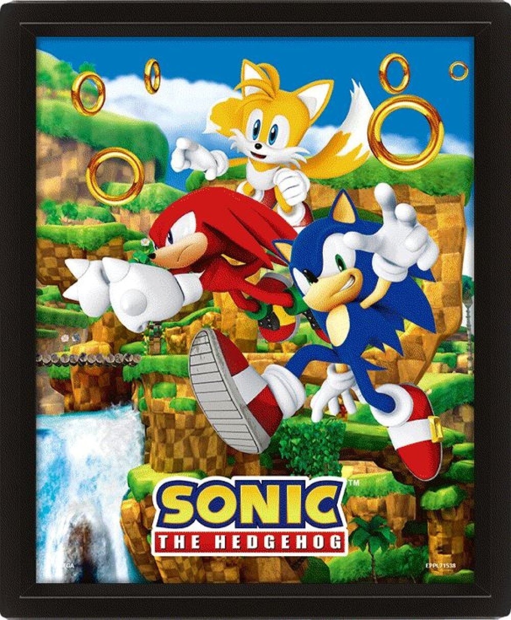 Sonic the Hedgehog - 3D Canvas-plakat