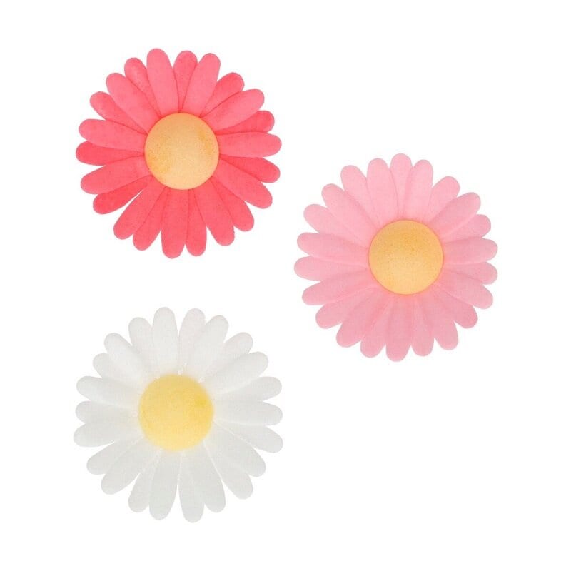 FunCakes - Spiselige Oblatblomster, Daisy 13-pakke