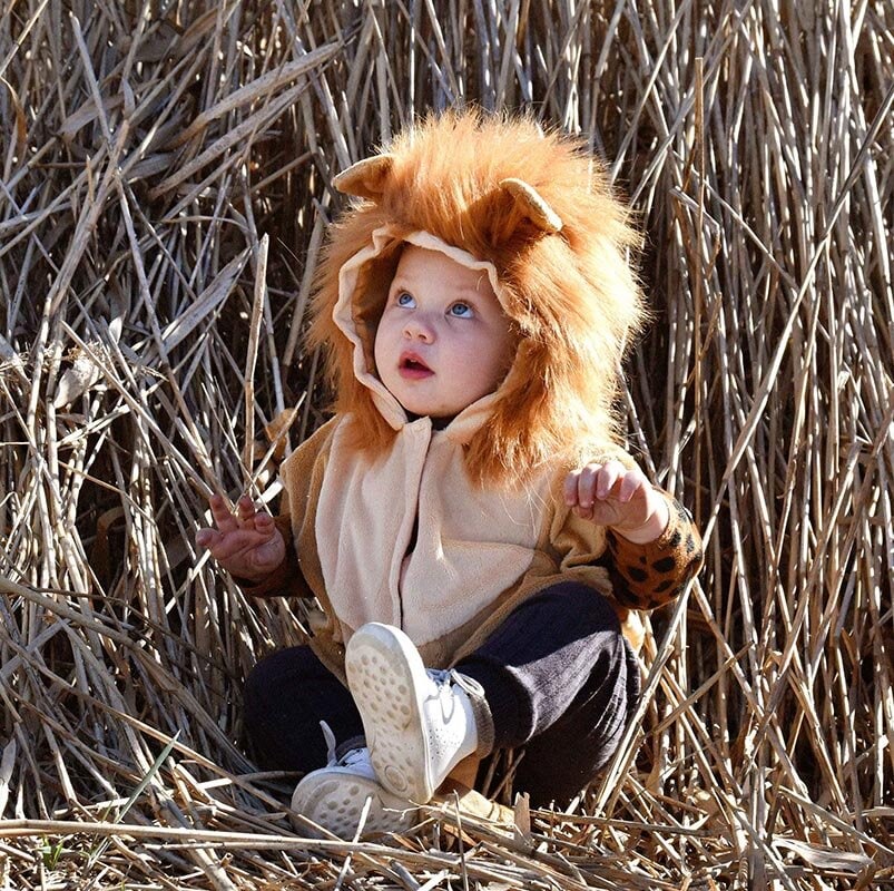 Løve Baby Cape kostyme 1-4 år