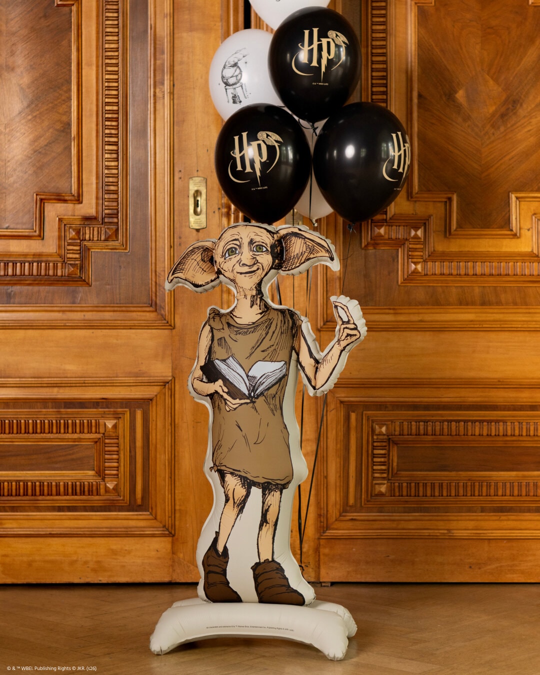 Harry Potter Nuldus Folieballong 105 cm