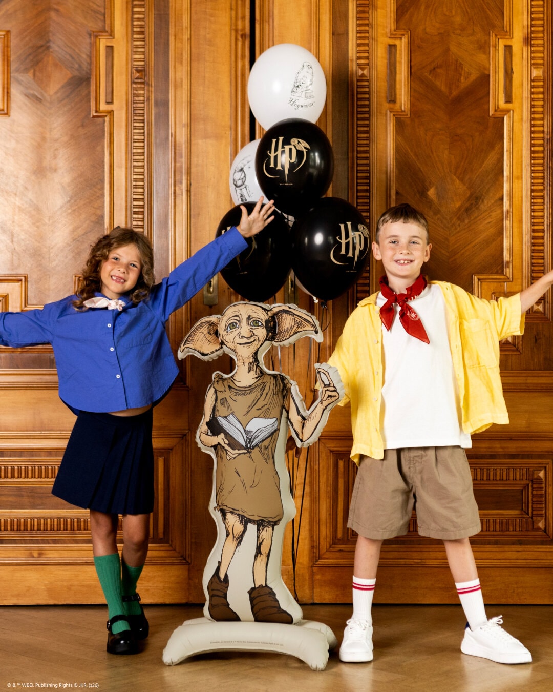 Harry Potter Nuldus Folieballong 105 cm