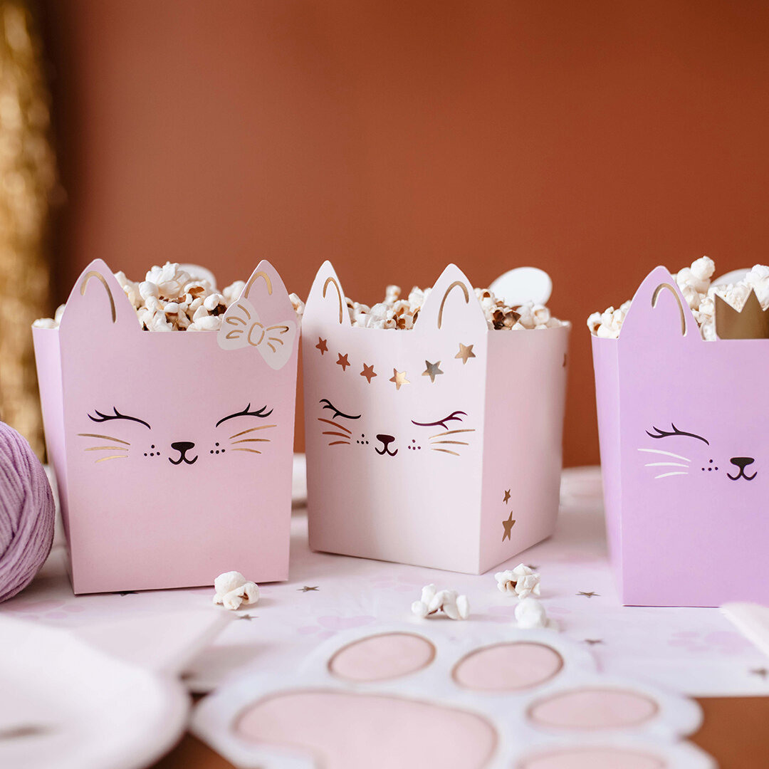Cat Party - Snacksbokser 3 stk.