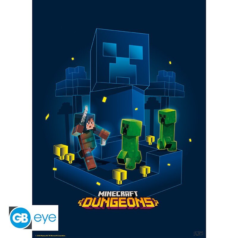 Plakater - Minecraft Dungeons 2 stk.