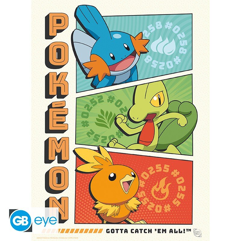 Pokémon - A4 Plakater i 9-pakke