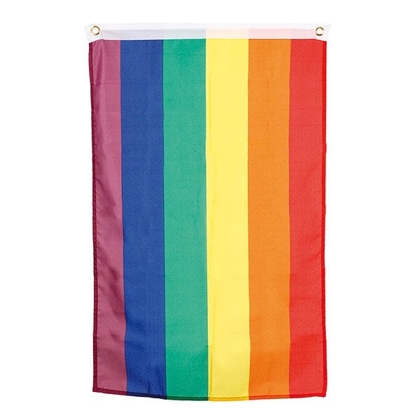 Pride-flagg 90 x 150 cm