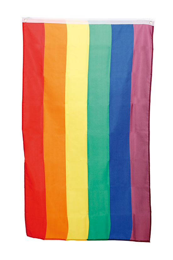 Pride Flagg 60 x 90 cm