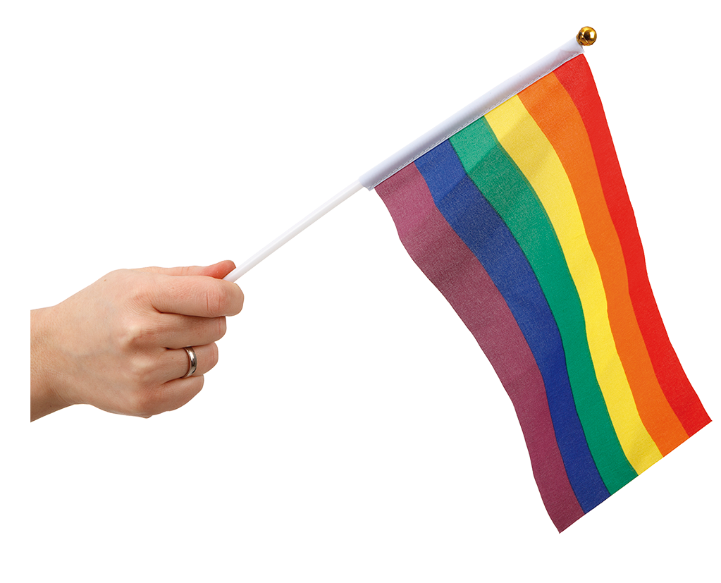 Pride Håndflagg 6 stk.