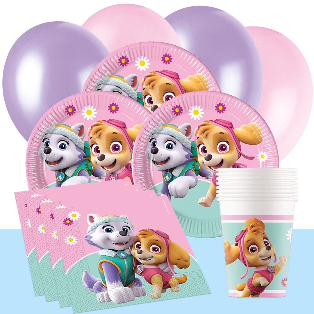 Paw Patrol Skye - Bursdagspakke 8-16 personer