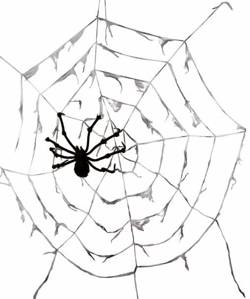 Gigantisk spindelvev med edderkopp