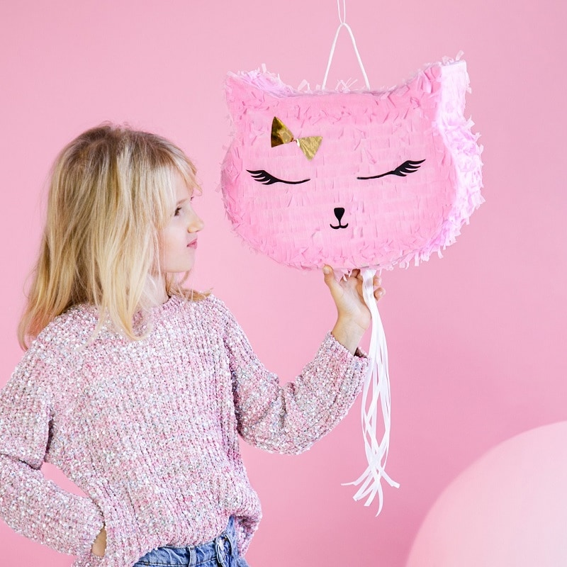 Pinata - Katt