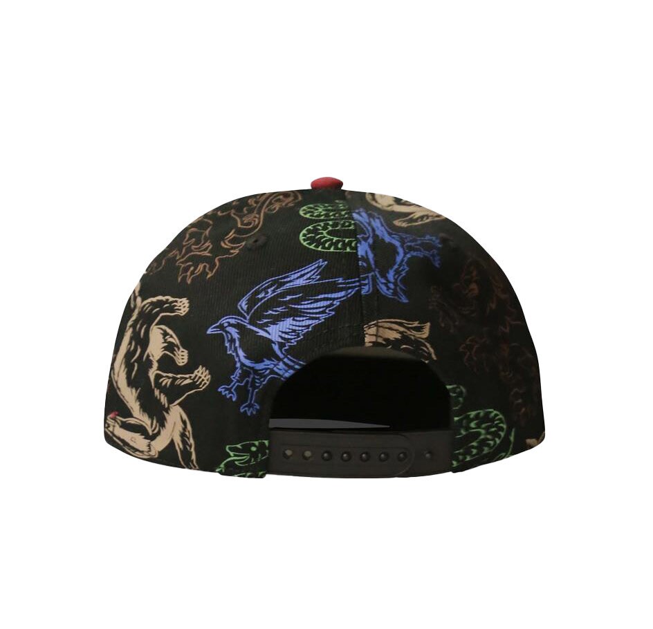 Harry Potter - Caps Magical Creatures Snapback