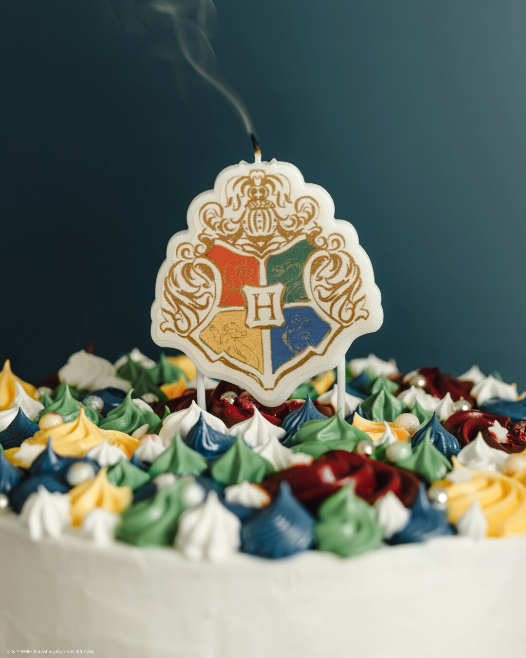 Harry Potter Galtvort Kakelys